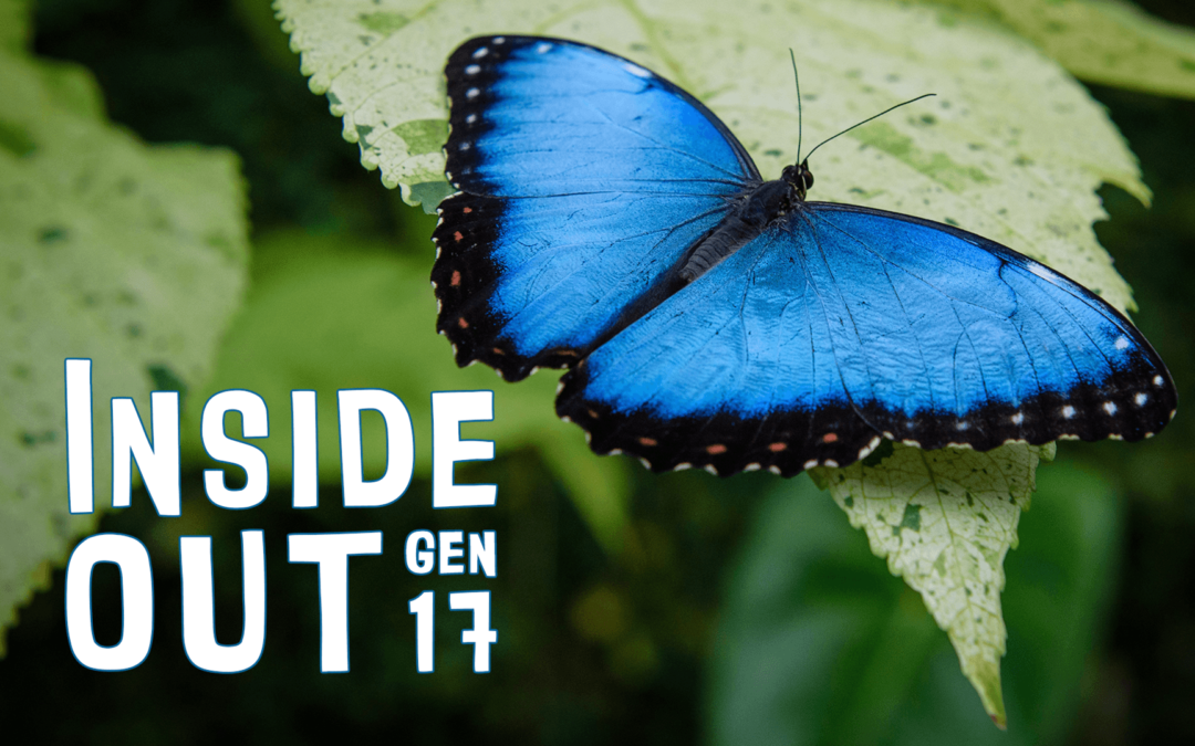 Inside Out – Gen. 17 – Chelsea Puckett