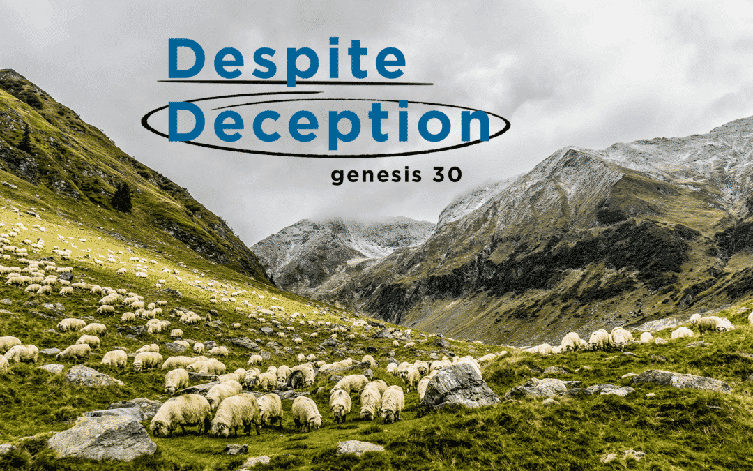 Despite Deception – Genesis 30 – Chelsea Puckett