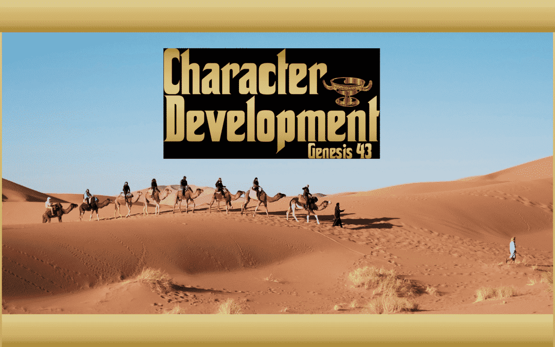 Character Development – Chelsea Puckett