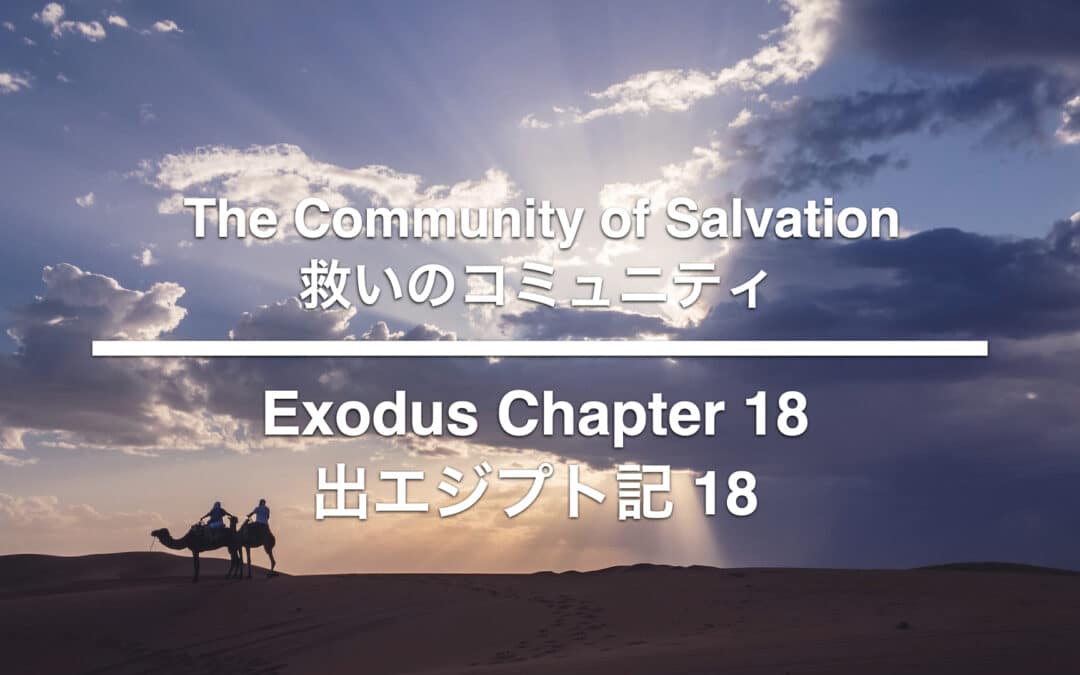The Community of Salvation - Chris Carter
