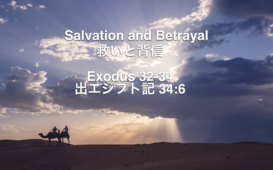 Salvation and Betrayal – Chris Carter